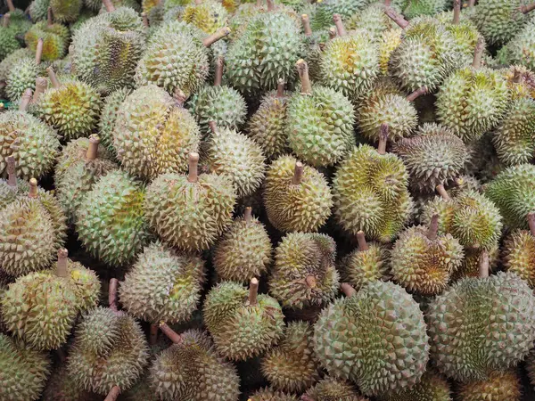 Tropikal Meyveler Kralı Durian toptan satışa çıktı..