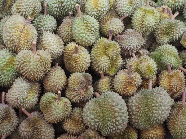 Tropikal Meyveler Kralı Durian toptan satışa çıktı..