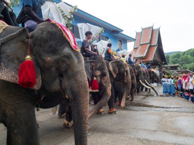 CHIANG MAI - 7 Temmuz 2025; Tayland 'ın Chiang Mai kentindeki Mae Taman Tapınağı' nda filler üzerinde geleneksel mum törenidir.. 