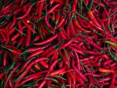 Taze sebzeler pazarda toptan fiyatına satıldı.