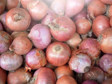 Taze sebzeler pazarda toptan fiyatına satıldı.