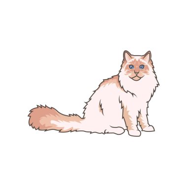 Sevimli Ragdoll kedi yavrularını çeşitli çekici pozlarda keşfedin. Bu yüksek kaliteli çizimler sevimlilik yayar, hayvanlarla ilgili tasarımlar için mükemmeldir..