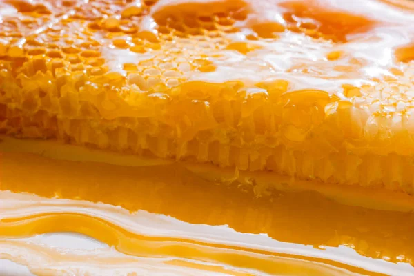 蜂蜜在蜂窝关闭 天然的 有机蜂蜜壁纸 养蜂的概念 阳光下的蜂蜜产品 — 图库照片#
