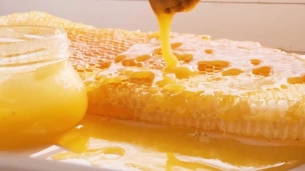 Honig Tropft Vom Honiglöffel Auf Den Wabenrahmen Natürlicher Flüssiger Honig — Stockvideo