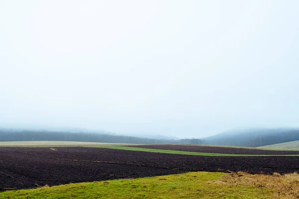 Fog above the agriculture field and forest. Panoramic view on autumn fields and hills. Plowed land
