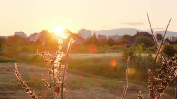 Sol Mañana Sobre Campo Las Afueras Ciudad Europa Del Este — Vídeos de Stock