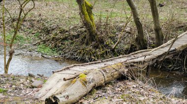 Nehir üzerinde el yapımı ahşap köprü. Avrupa bahar ormanlarında yaya köprüsü. 