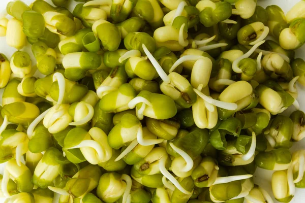 豆芽紧密相连 白色背景的绿草种子堆积如山 绿豆的发芽 Vigna Radiata Beans — 图库照片