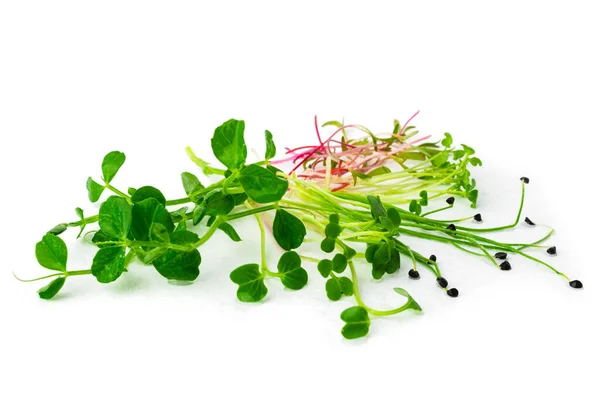 stock image Green pea, beet, mustard, radish and chives onion microgreen on white background. Mix of micro green shoots. Healthy food concept