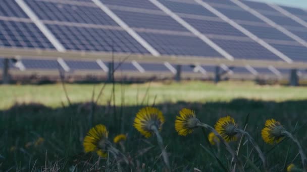 太陽光発電の太陽光発電パネル ソーラーパークで 緑の草と青い空のソーラーパネル ソーラーパネルシステム発電機 オルタナティブパワーエネルギーコンセプト — ストック動画
