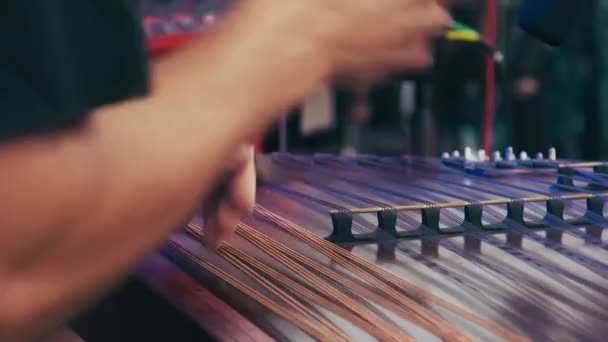 Músico Joga Cymbalo Instrumento Popular Ucraniano Mãos Masculinas Tocar Dulcimer — Vídeo de Stock