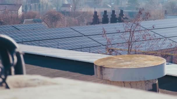 Panele Fotowoltaiczne Dachu Budynku Przemysłowego Panele Słoneczne Błękitne Niebo Elektrownie — Wideo stockowe