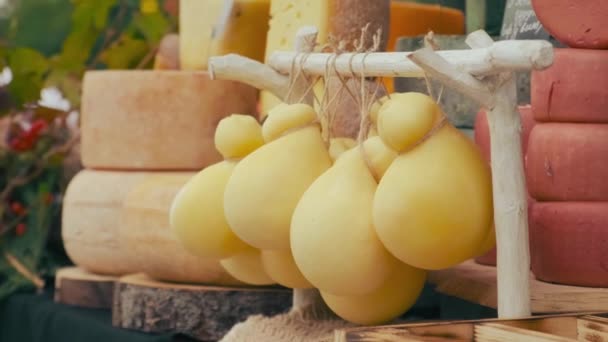 食品市场上的传统奶酪 手工艺食品节 在展会期间 在柜台上派发手工乳酪 — 图库视频影像
