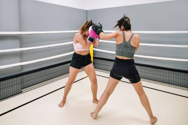 Side view of two active female kickboxers practicing punching each other in a ring.