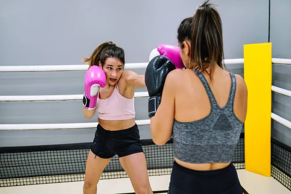 Portrait of a young woman in guard position and throwing a punch to her partner in a boxing practice in the ring.