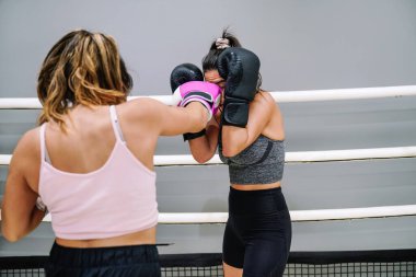 Rear view of a female boxer punching her opponent while she covers herself in a practice in the ring.