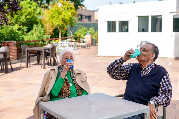 Livlig Trädgård Ett Äldreboende Ett Lyckligt Äldre Par Njuta Sina — Stockfoto