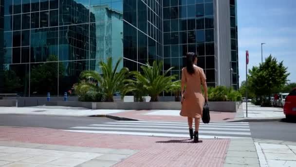 Rückansicht Einer Stilvollen Kaukasischen Geschäftsfrau Mit Aktentasche Die Eine Straße — Stockvideo
