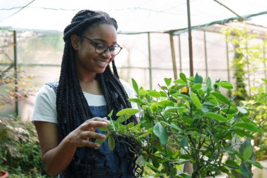 Neşeli Afrikalı bahçıvan, doğanın dinginliğini somutlaştıran parlak bir serada yeşilliğe önem verir..