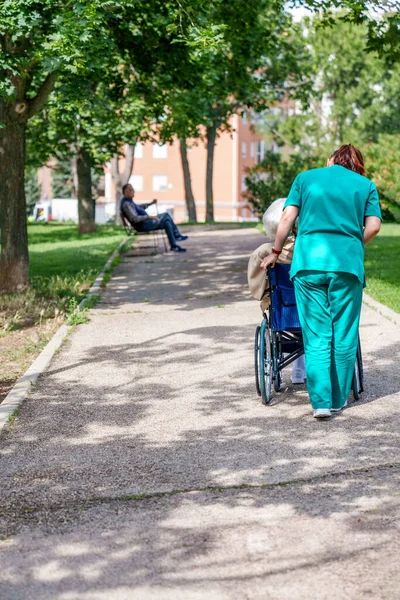 Healthcare worker assists elderly person in wheelchair, enjoying a peaceful day outside a retirement home.