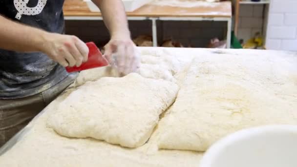 年轻的面包师在工业炉里检查面包 确保烘焙质量完美 — 图库视频影像