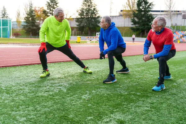 A group of elderly athletes in sportswear engage in side stretches on a running track, showcasing active aging