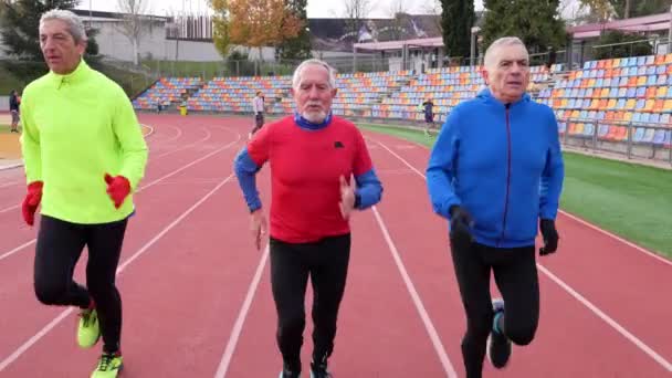 Drei Ältere Kaukasische Männer Blauer Sportbekleidung Laufen Auf Der Strecke — Stockvideo