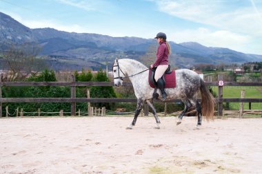 Kestane rengi elbiseli binici, dağlık zemini olan bir arenada gri bir ata huzurlu bir şekilde binmekten hoşlanıyor..