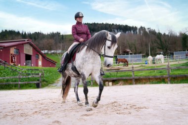 Kırmızı ahır zeminli kumlu bir arenada benekli gri bir atın üzerinde konsantre olmuş genç atlı ayaklar..