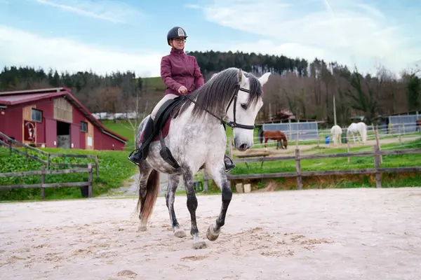 Kırmızı ahır zeminli kumlu bir arenada benekli gri bir atın üzerinde konsantre olmuş genç atlı ayaklar..