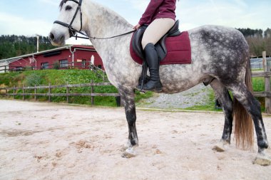 Ahırın kumlu arenasında benekli beyaz bir atın üstünde tanınmaz hale gelen genç bir kadın binici.