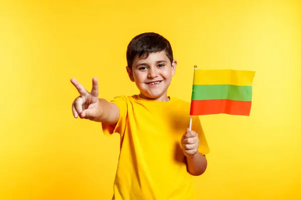 stock image A young boy is holding a Lithuania flag and smiling. The boy is making the peace symbol with his fingers