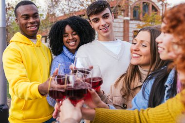 Kırmızı şarapla kadeh kaldıran çok ırklı arkadaşlar açık hava toplantısının tadını çıkarıyorlar.