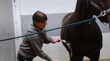 Ahırda at süren bir kadın..