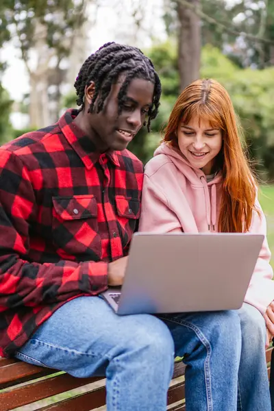 Öğrenciler parkta bir bankta birlikte oturuyorlar, bir dizüstü bilgisayarla çalışıyorlar, açık havada eğleniyorlar ve birbirlerinin arkadaşlığından.