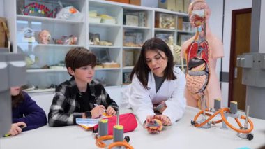 Biyoloji dersi sırasında öğrencilerine insan organının anatomik modelini gösteren bir bayan öğretmen.
