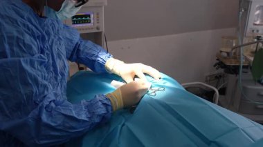 Veterinerlik profesyoneli steril tıbbi ortamda hayvan hastalarına cerrahi müdahalede bulunarak uzman veterinerlik uzmanlığı gösteriyor.