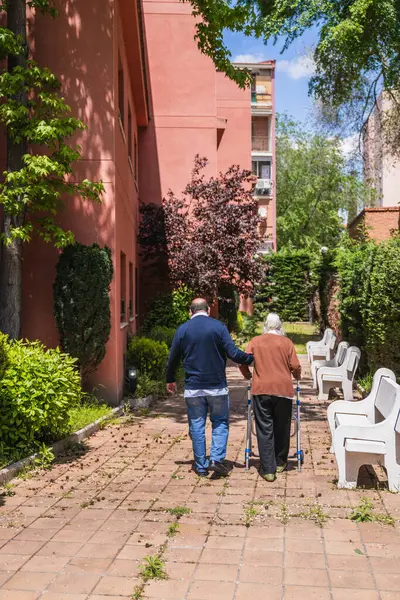 Hemşire yaşlı bir kadına yardım ediyor. Huzurevinin güneşli bahçesinde Walker 'ı kullanıyor. Hareket kabiliyetini ve refahını arttırıyor.