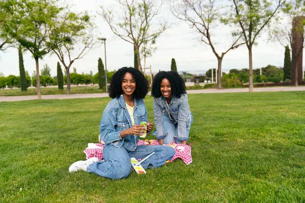 İki neşeli ikiz kardeş parkta keyifli bir pikniğin tadını çıkarıyorlar. Sıcak güneşin tadını çıkarırken abur cubur ve içecekleri paylaşıyorlar.