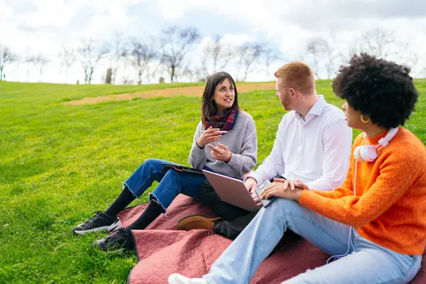 Üç üniversite öğrencisi parkta battaniyeye oturmuş dizüstü bilgisayar kullanarak proje üzerinde çalışıyor ve fikirleri tartışıyorlar.