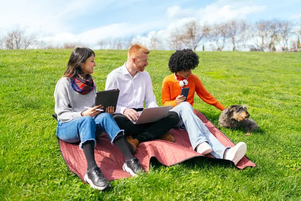 Dışarıda çalışan bir grup genç iş arkadaşı dizüstü bilgisayar, tablet ve akıllı telefon kullanarak evcil köpekleriyle parkta bir battaniyenin üzerinde oturuyorlar.