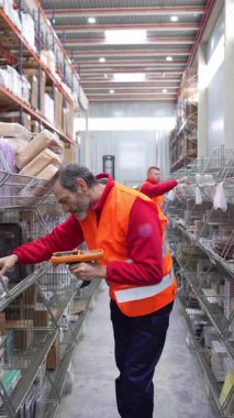 Profesyonel depo çalışanı, endüstriyel depolama tesisi içindeki sağlam metal raflardaki malları düzenlerken barkod okuyucusunu kullanarak paketleri titizlikle tarıyor.