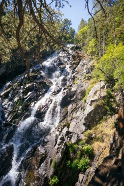 Canlı yeşil bir ormandaki kayaların üzerinden akan şelalenin manzarası doğanın güzelliğini gözler önüne seriyor.