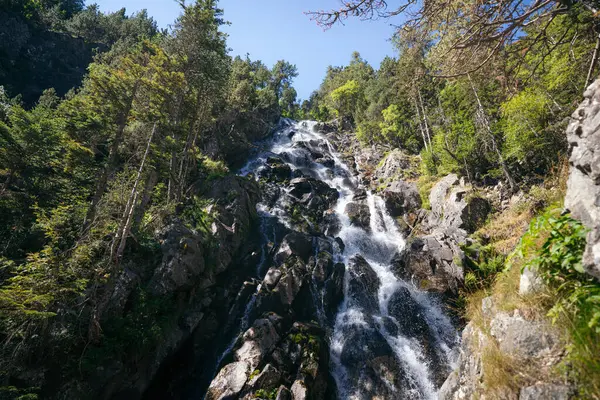 Serinletici şelale, yemyeşil ormanlarla çevrili kayalık bir dağ yamacından aşağı yuvarlanarak pitoresk bir doğal manzara yaratıyor.