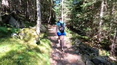 Güneşli yaz gününde orman patikalarından geçen kadın yürüyüşçü, yemyeşil ormanlık arazide arka perspektiften düzenli bir şekilde yürüyor.