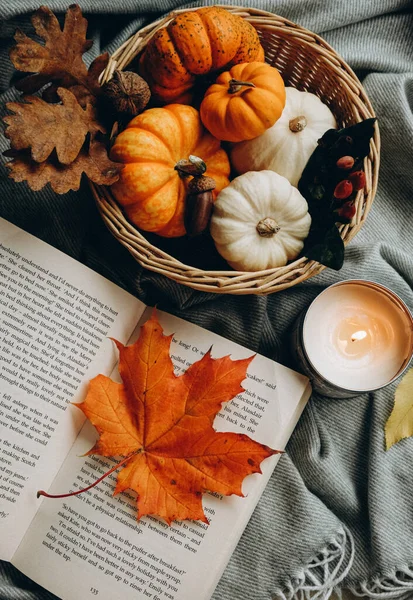 Pumpkins, book and candle