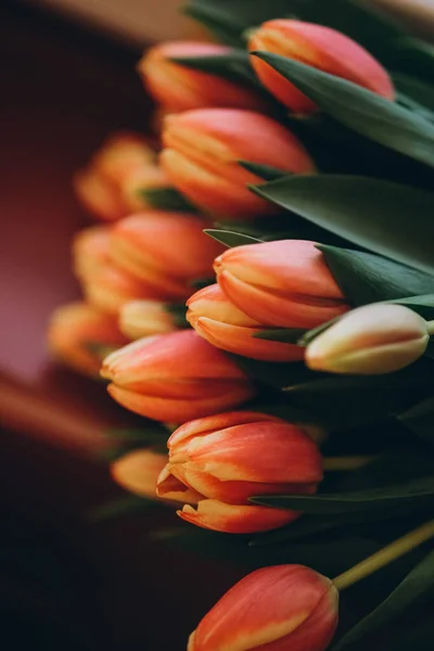 Warm tulips on wood background