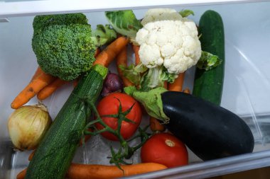 Buzdolabında pişirmek için taze organik sebze. Dünya Vejetaryen Günü. 