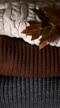 Arka planda kalın örülmüş bir sonbahar yaprağı. Soğuk çarpması. Sonbahar konsepti. Sıcak, sonbahar atmosferi