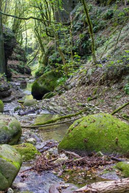Şelale, Lago del Corlo, Dolomite, Venetia, İtalya